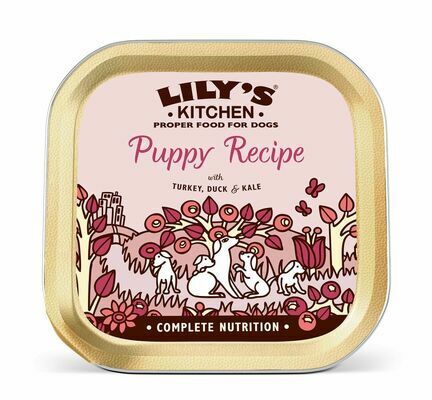 Lily's Kitchen Puppy Turkey & Duck 10x150g