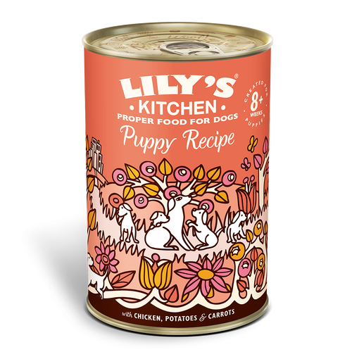 Lily's Kitchen Puppy Chicken Recipe 400g