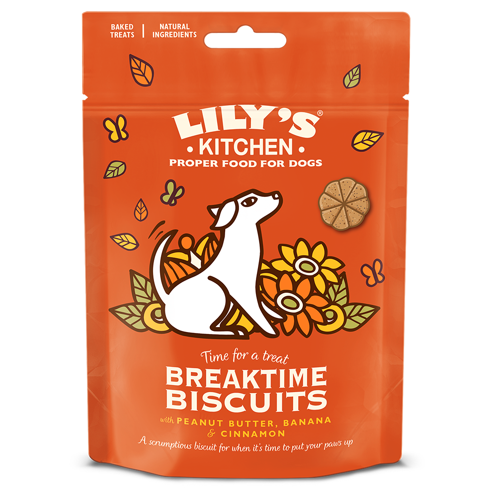 Lily's Kitchen Dog Breaktime Biscuits 80g