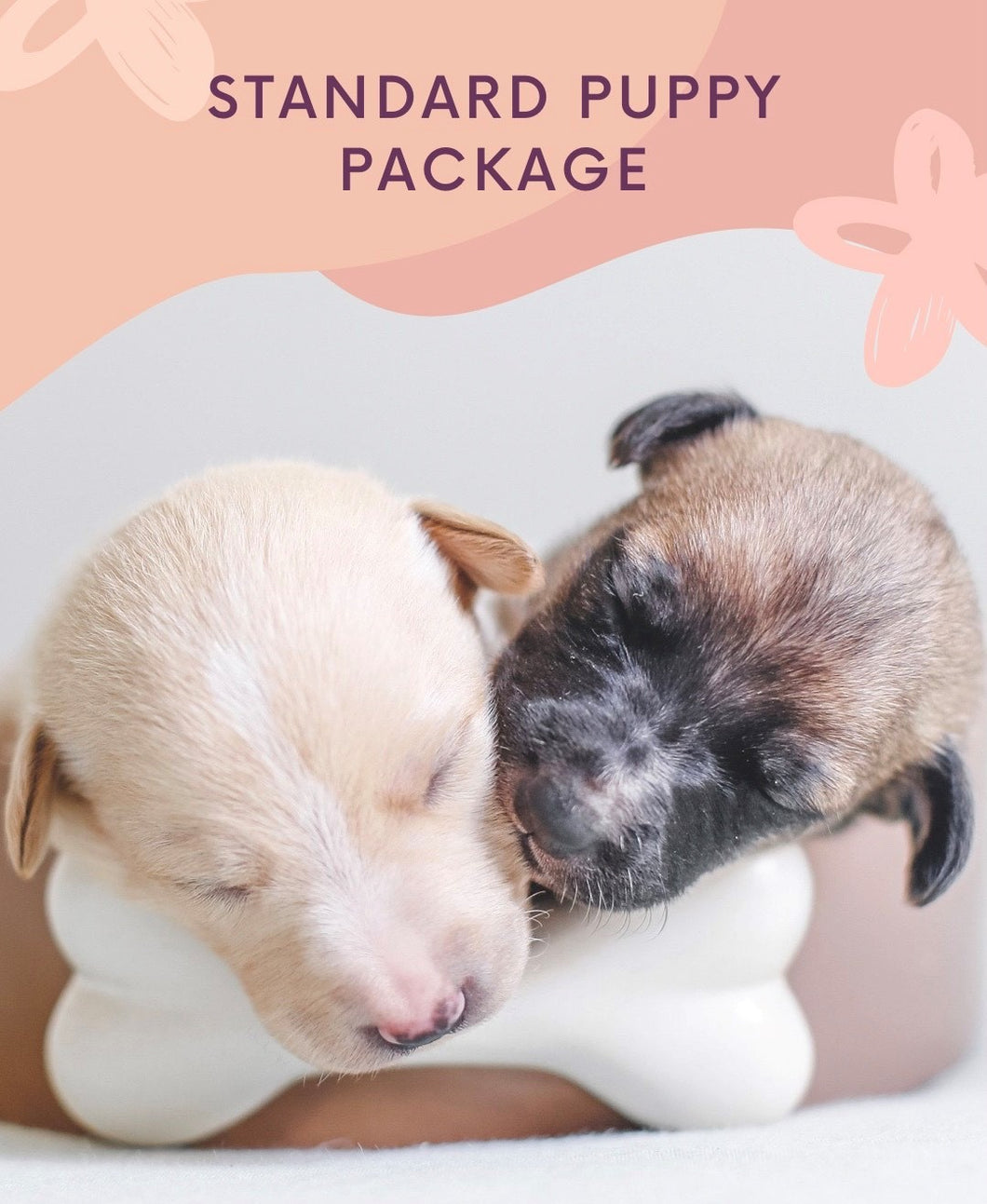 Standard Puppy Package